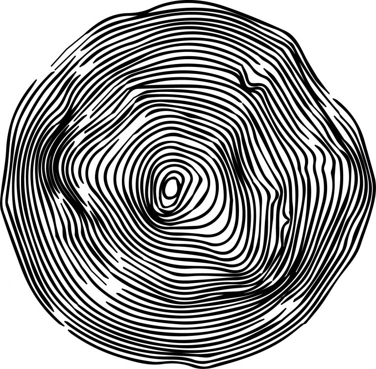 Palette Gold Coast's Newest Fine Dining Restaurant